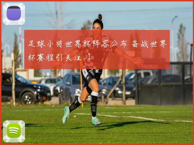 足球小将世界杯阵容公布 备战世界杯赛程引关注_1