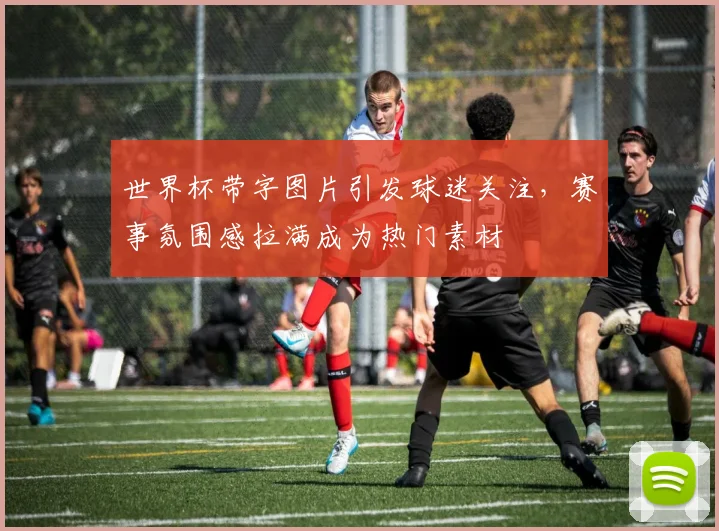 世界杯带字图片引发球迷关注，赛事氛围感拉满成为热门素材