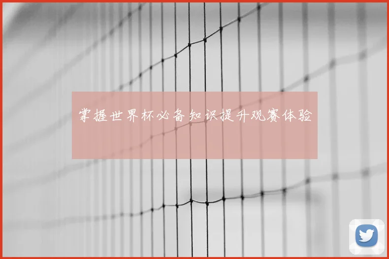 掌握世界杯必备知识提升观赛体验