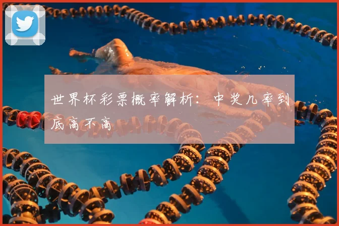 世界杯彩票概率解析:中奖几率到底高不高