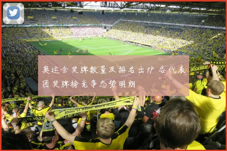 奥运会奖牌数量及排名出炉 各代表团奖牌榜竞争态势明朗