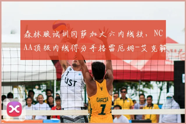 森林狼试训冈萨加大六内线核,NCAA顶级内线得分手格雷厄姆-艾克解析_进攻_大学_1