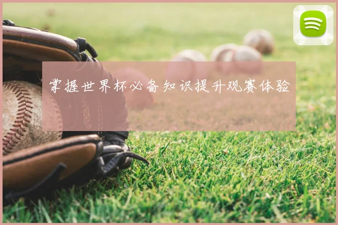 掌握世界杯必备知识提升观赛体验