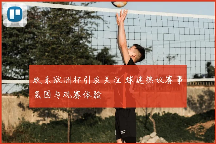 欢乐欧洲杯引发关注 球迷热议赛事氛围与观赛体验
